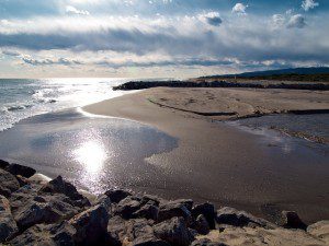 The Nature Reserve of El Remolar-Filipines