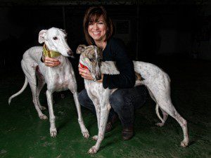 Los Galgos, Greyhounds Aid Centre