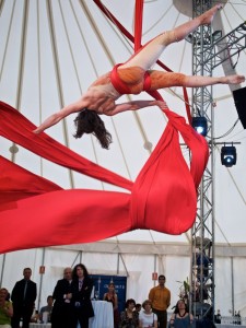 Emily & Regis Wedding Party, acrobat