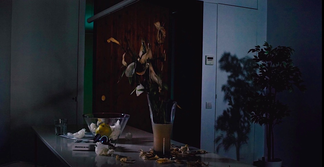 A dark room with some dying flowers on a table, my first film script