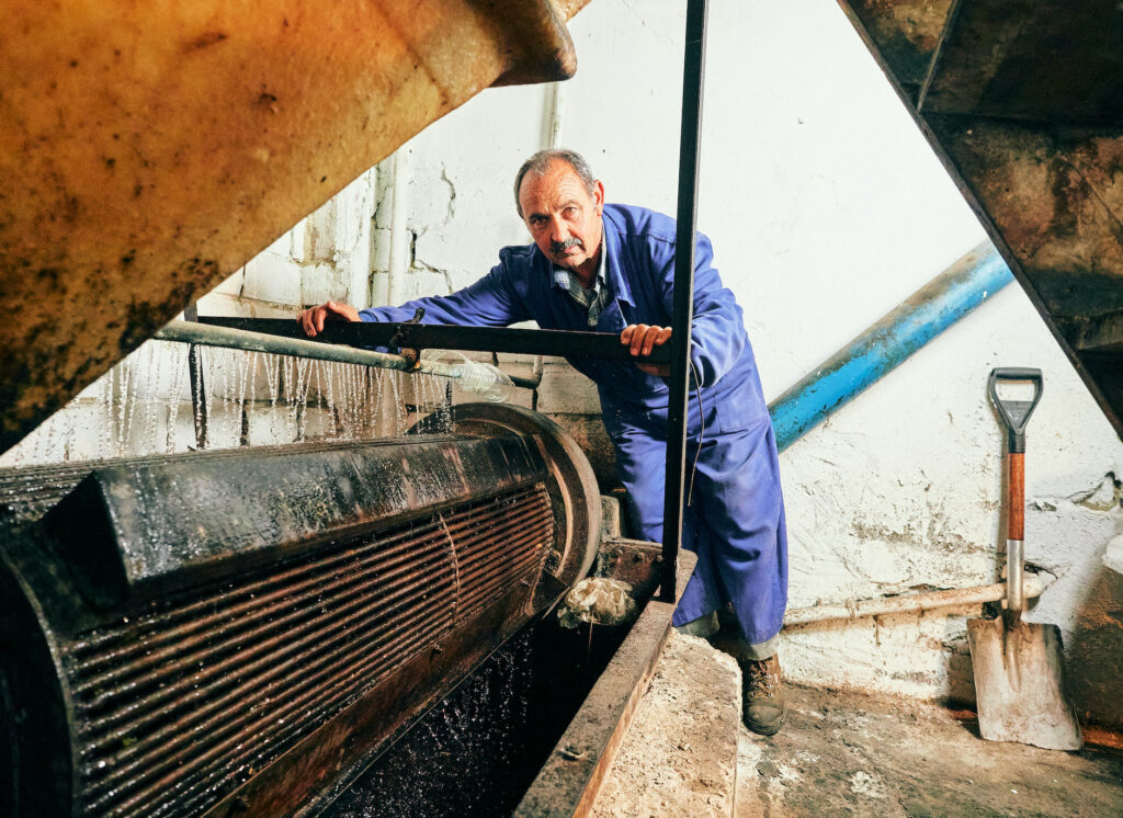 man in an olive oil mill