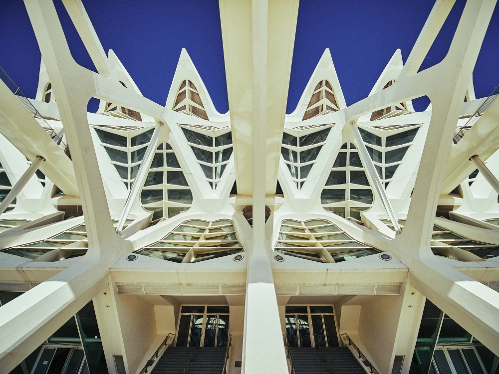 Architectural detail of white futuristic structure at Valencia’s City of Arts and Sciences.