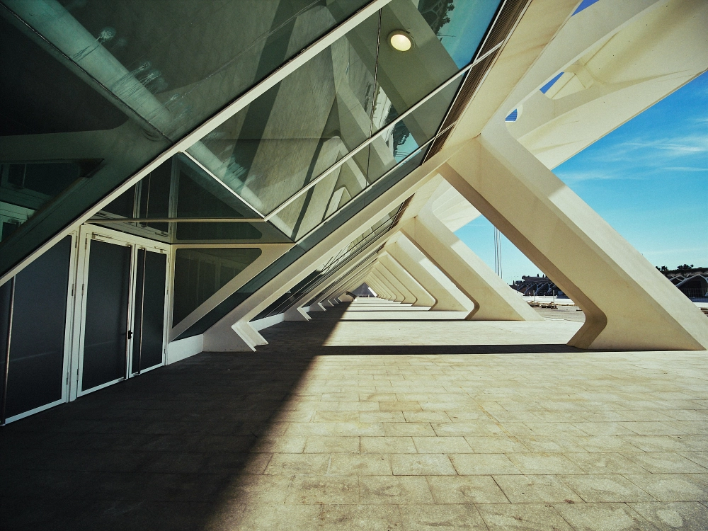 Wide-angle daytime photo of futuristic architecture at Valencia’s City of Arts and Sciences.