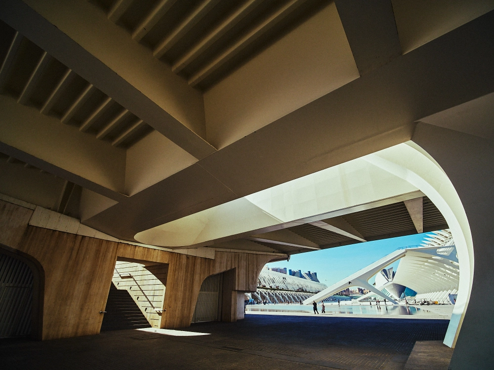 Wide-angle perspective of Valencia’s futuristic City of Arts and Sciences complex on a clear day.
