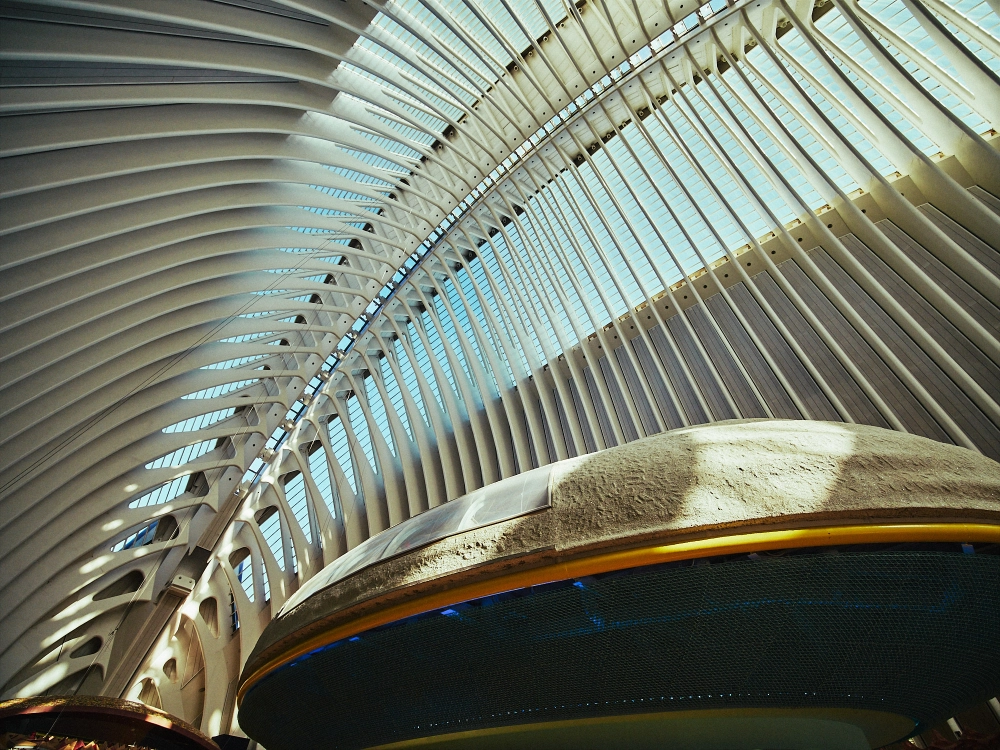Contemporary architecture at the City of Arts and Sciences Valencia with dramatic curves and blue sky.