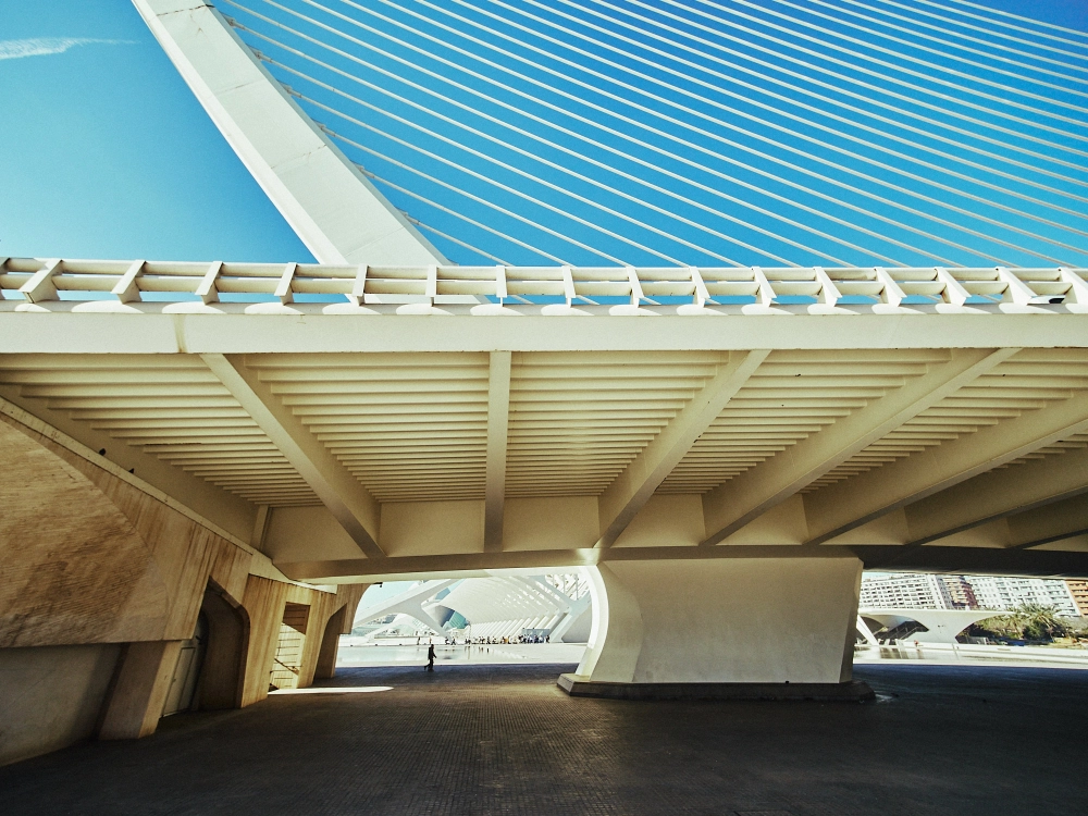 Futuristic Valencia architecture at the City of Arts and Sciences captured on a sunny day.